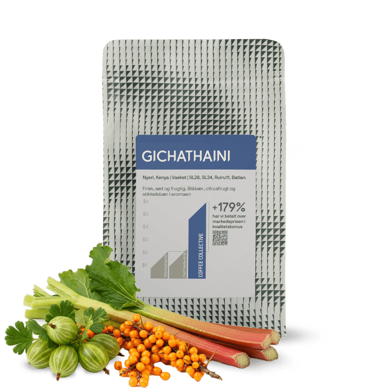 scomhs product image
